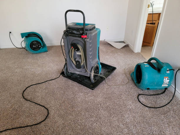 Best Sewage cleanup and water damage restoration  in Crouch Mesa, NM