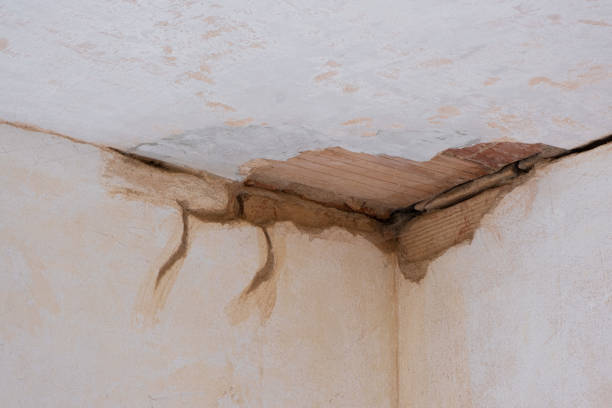 Best Emergency water damage restoration  in Crouch Mesa, NM