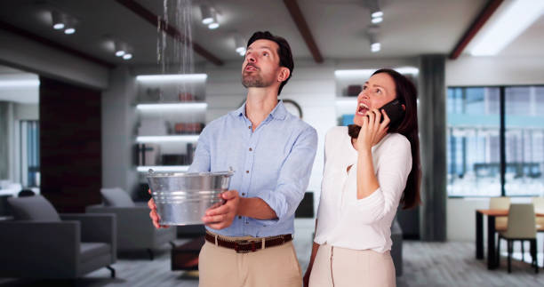 Best Flooded house restoration  in Crouch Mesa, NM